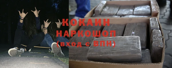 шишки Верея