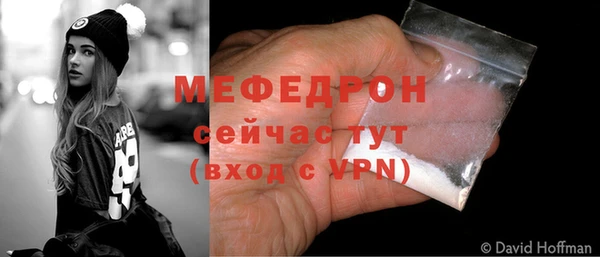 шишки Верея