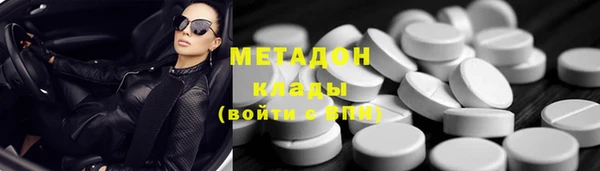 шишки Верея
