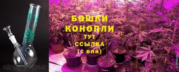 шишки Верея