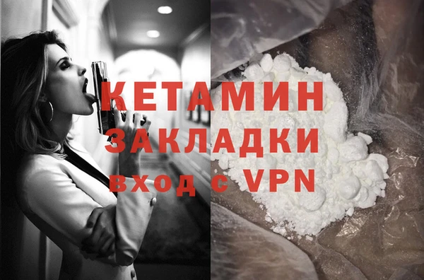 шишки Верея