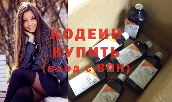 шишки Верея