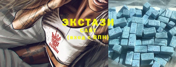 шишки Верея