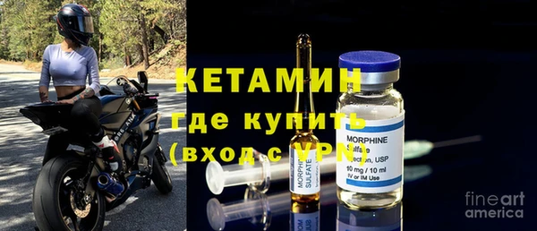 шишки Верея
