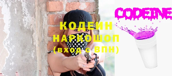 шишки Верея