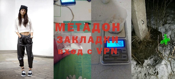 шишки Верея