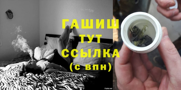 шишки Верея