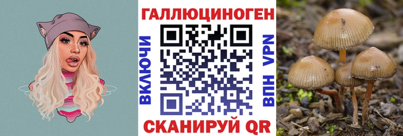 Галлюциногенные грибы ЛСД  даркнет какой сайт  Невинномысск 