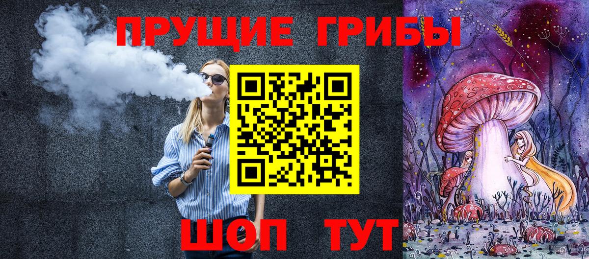 Псилоцибиновые грибы Psilocybine cubensis Невинномысск